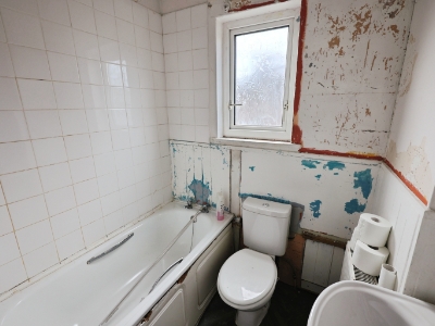 Picture 7